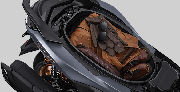 Big Luggage (25 Litre)