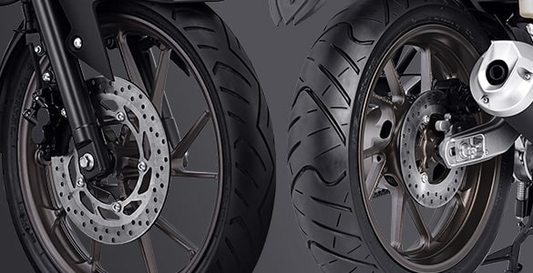 Double Disc Brake